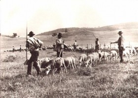 LA STORIA - AZIENDA AGRICOLA FAUSTINI